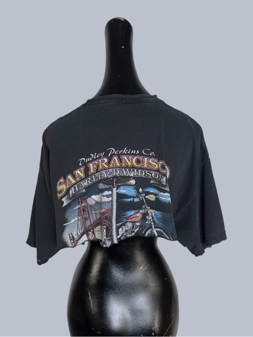 Reworked Harley Davidson cropped distressed t-shirt - Picture 6 of 11